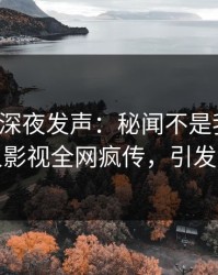 神秘人深夜发声：秘闻不是我干的！人人影视全网疯传，引发众怒