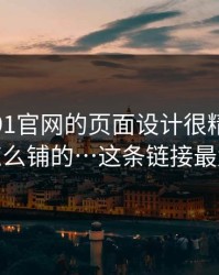 别笑，91官网的页面设计很精 · 站群是怎么铺的…这条链接最危险