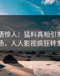 明星一语惊人：猛料真相引发引爆全场，人人影视疯狂转发
