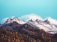 我翻了很多页面才确认：很多人用吃瓜51越用越累，问题往往出在收藏回看（信息量有点大）