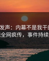 大V深夜发声：内幕不是我干的！人人影视全网疯传，事件持续发酵