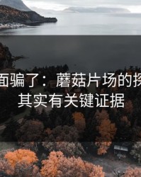 别被表面骗了：蘑菇片场的探店记录其实有关键证据